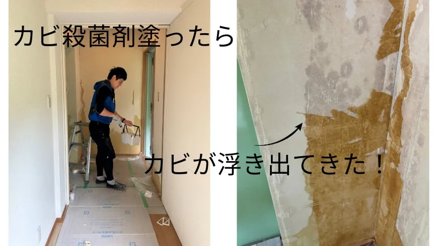 2024年6月20日完了 和歌山県伊都郡高野山 T様 お寺