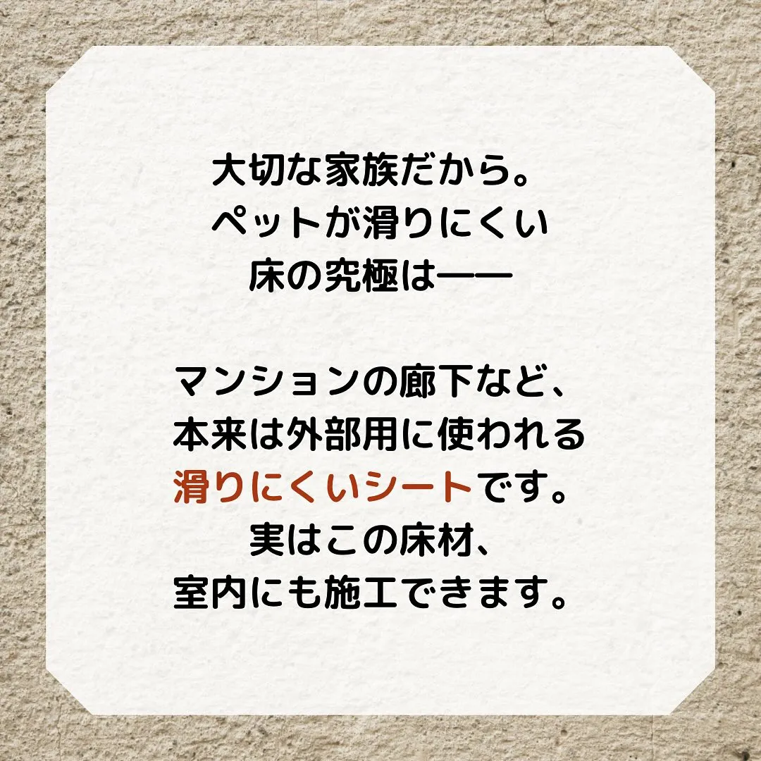 大切な家族だから、ワンちゃんやネコちゃんの