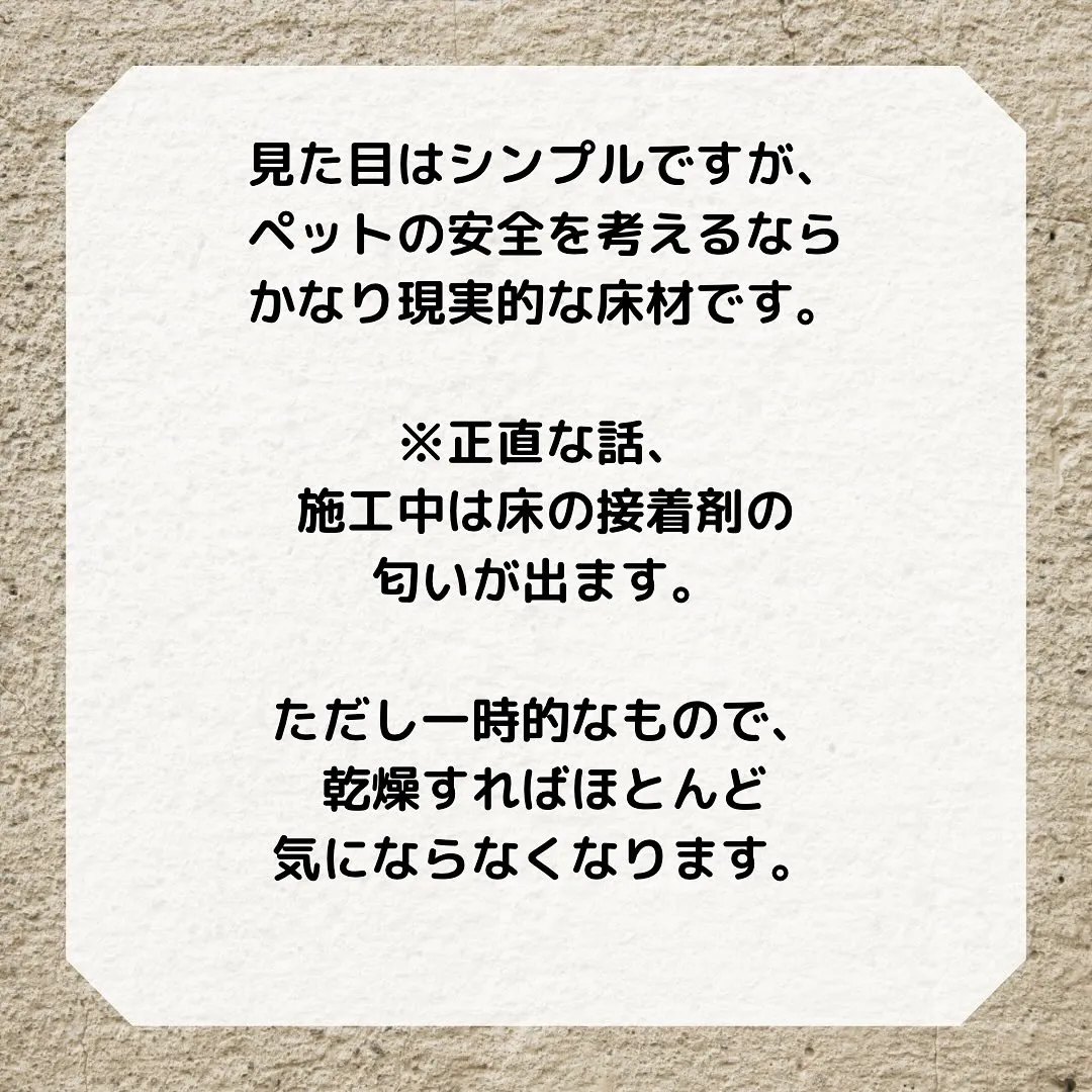 大切な家族だから、ワンちゃんやネコちゃんの